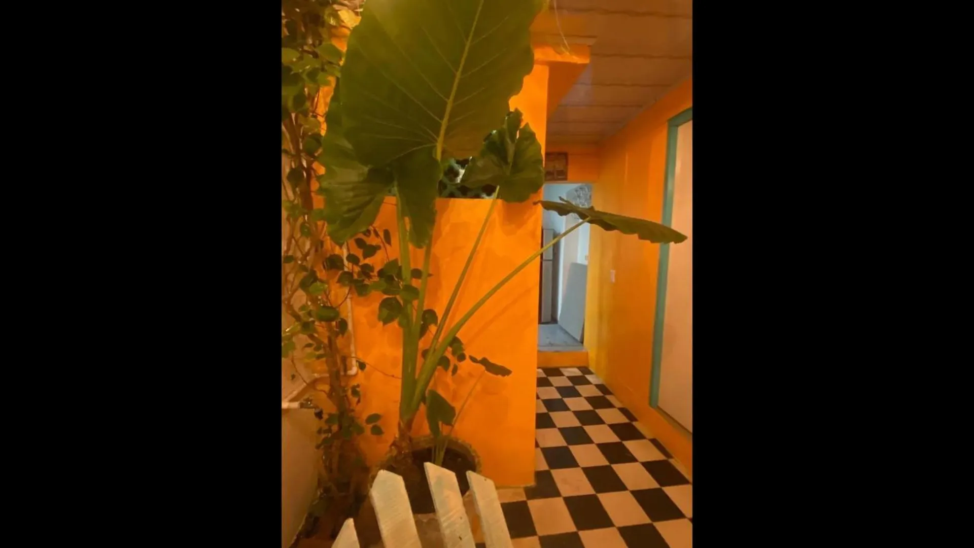 4Cr-1M 4 Bedroom House In Getsemani With Air Conditioning And Wifi Cartagena كولومبيا